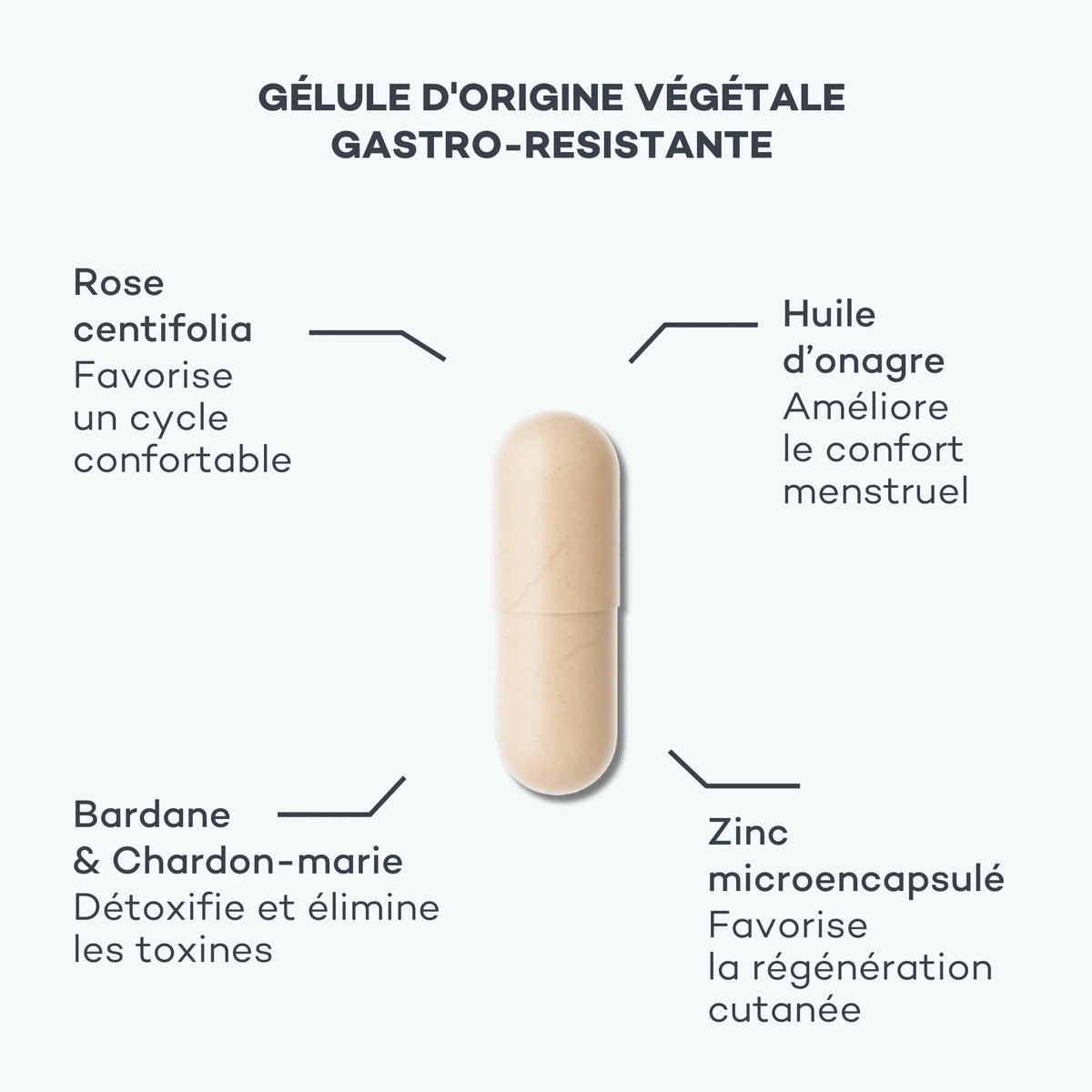 Détox Post-Pilule D-LAB, ingrédients