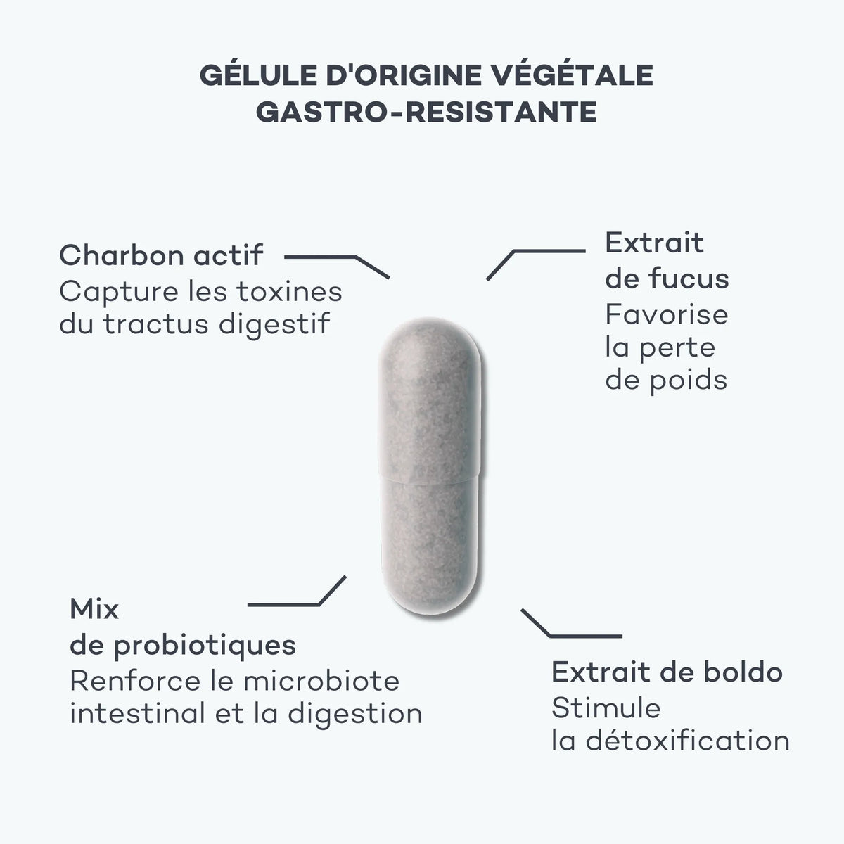 Détox Ventre Plat D-LAB, ingredients