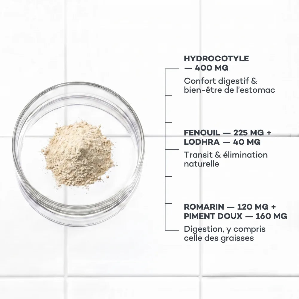 Digestive Comfort D-LAB, ingredients